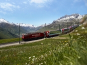 Glacier Express der Rhätischen Bahn am Oberalppass vor Alpenpanorama.