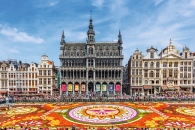 Blumenteppich auf dem Grote Markt in Brüssel mit historischen Gebäuden im Hintergrund.