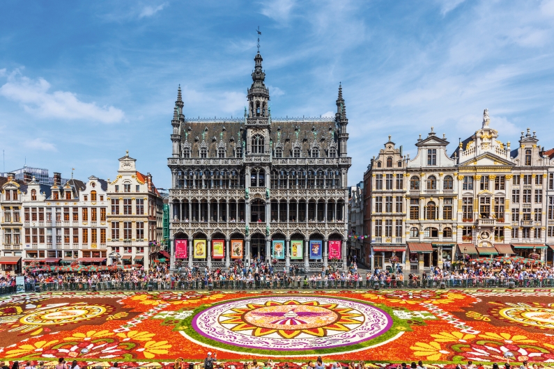 Blumenteppich auf dem Grote Markt in Brüssel mit historischen Gebäuden im Hintergrund.