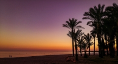 Strand von Torremolinos an der Costa del Sol bei Sonnenuntergang mit Palmen im Vordergrund.