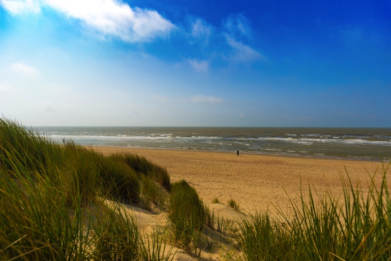 Strand mit Meer, Sanddünen und Gras unter blauem Himmel.