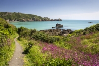 Küstenlandschaft mit Blumen, felsiger Küste und klarem blauen Meer.