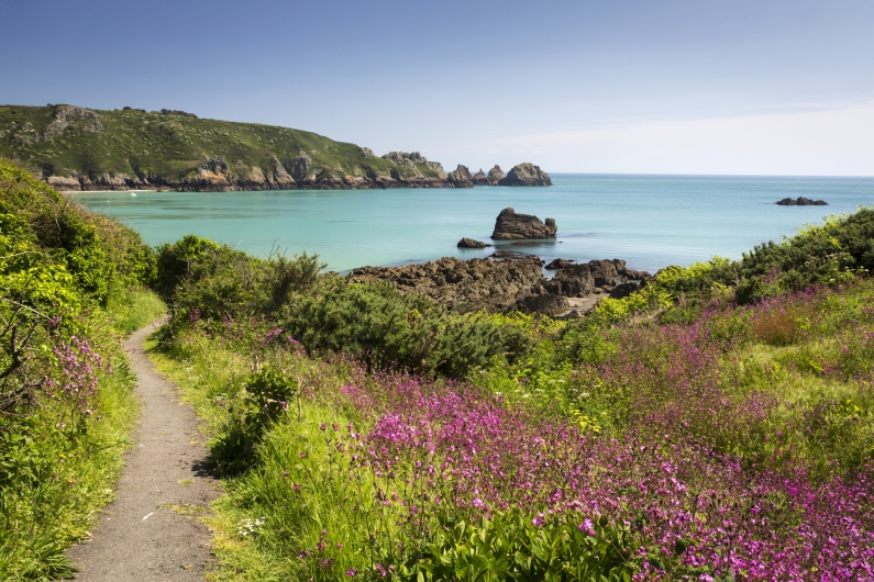 Küstenlandschaft mit Blumen, felsiger Küste und klarem blauen Meer.