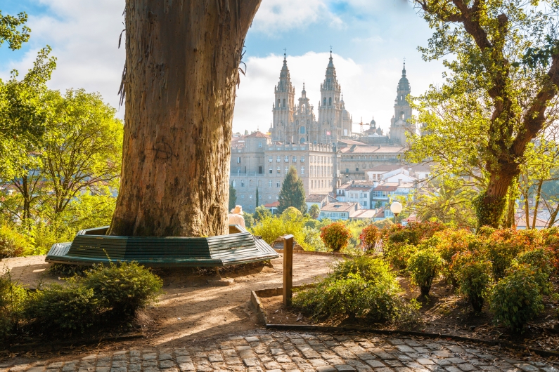 Kathedrale von Santiago de Compostela im Morgenlicht, umgeben von üppigem Grün und Bäumen, Blick auf den sonnenbeschienenen Eingang, ein symbolhaftes Ziel für Pilger auf dem Jakobsweg.