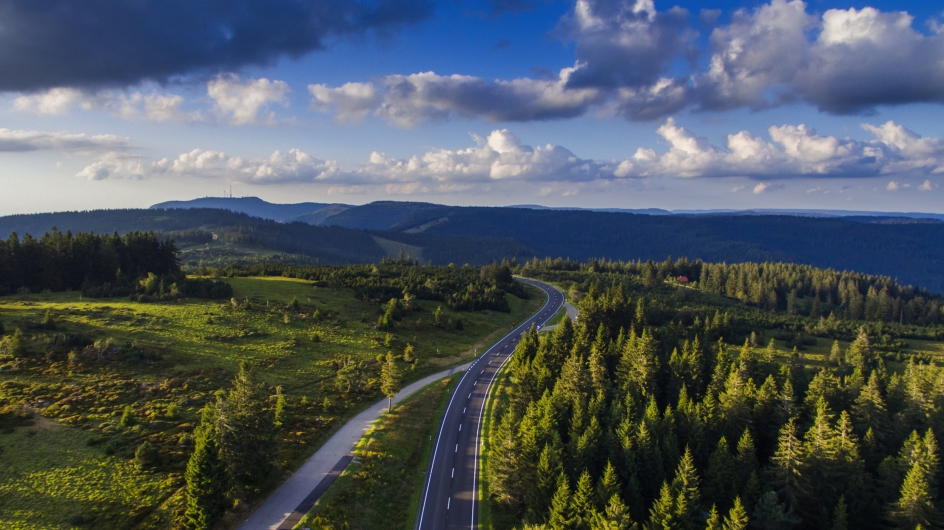 Waldlandschaft mit Straße unter einem bewölkten Himmel.