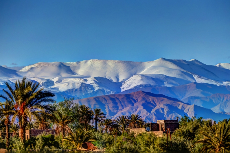 Schneebedeckte Berge mit Palmen im Vordergrund unter klarem Himmel