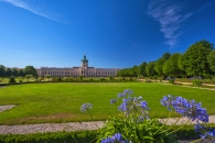 Schloss mit Garten, blauer Himmel, violette Blumen im Vordergrund.