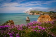 Küste mit Klippen, Blumen im Vordergrund, Meer und Himmel im Hintergrund.
