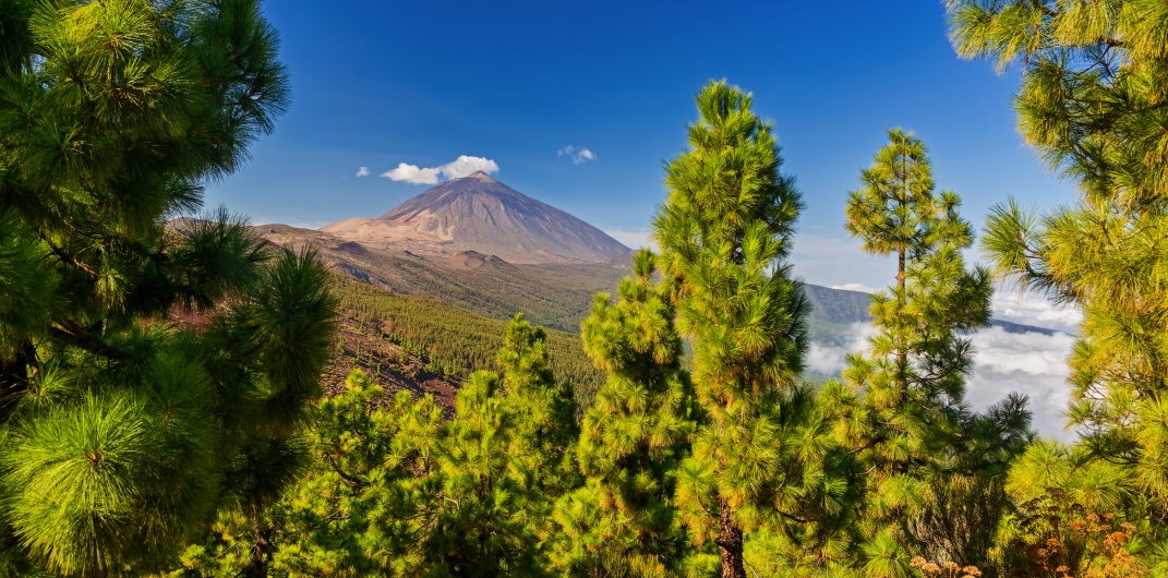 Blick auf grünen Wald und Vulkan unter blauem Himmel.