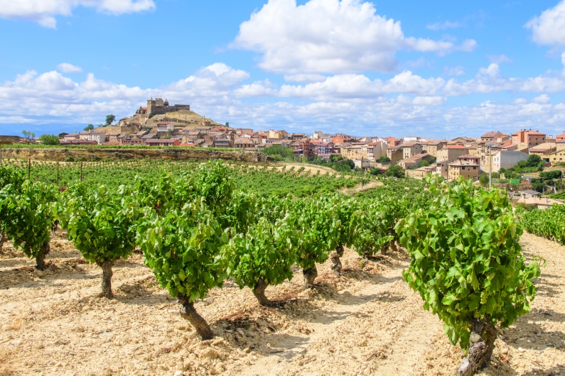 Weinberge in der Region La Rioja, Spanien, mit einem Dorf im Hintergrund.