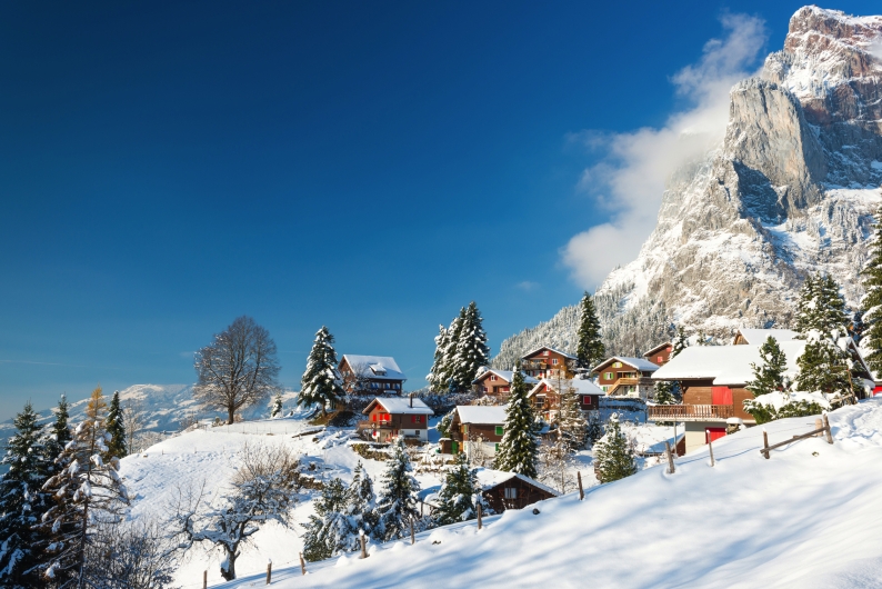 Verschneite Berghütten mit Tannen im Vordergrund und Berg im Hintergrund.