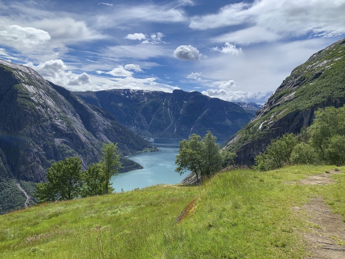 Grüne Landschaft, Berge und blauer Fjord