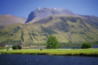 Berglandschaft mit See, Wiese und Baum im Vordergrund.