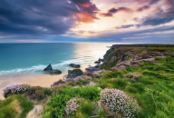 Küstenlandschaft bei Sonnenuntergang mit Blumen und Wolken am Himmel.