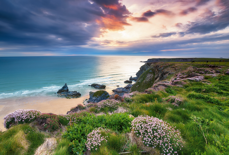 Küstenlandschaft bei Sonnenuntergang mit Blumen und Wolken am Himmel.