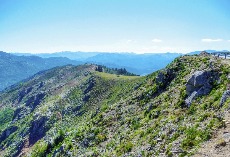 Grüne Berge unter blauem Himmel