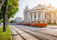 Straßenbahn fährt vor einem historischen Gebäude entlang einer Allee.