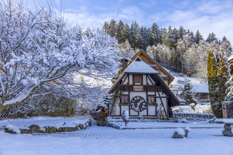 Eine winterliche Außenaufnahme der „1. Weltgrößten Kuckucksuhr“ in Schonach. Das Gebäude ist einem traditionellen Schwarzwaldhaus nachempfunden, mit einem großen, weißen Zifferblatt mit römischen Ziffern an der Vorderseite. Das Dach des Hauses und die umgebenden Tannen sowie ein großer Baum im Vordergrund sind dicht mit Schnee bedeckt. Ein flacher, hölzerner Zaun grenzt das Grundstück ab, das ebenfalls unter einer geschlossenen Schneedecke liegt. Im Hintergrund erheben sich schneebedeckte Hügel unter einem blau-weißen Himmel.