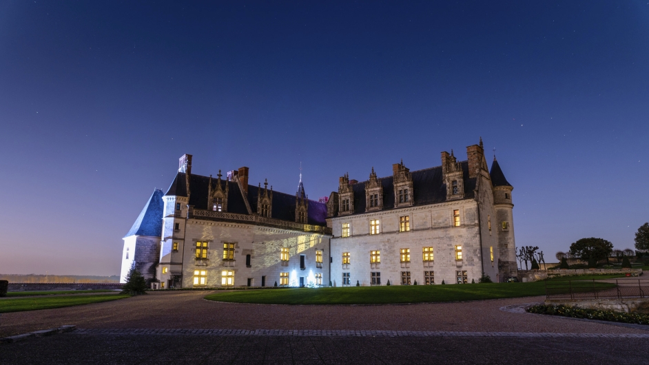 Eine Außenaufnahme des beleuchteten Schlosses Amboise zur blauen Stunde. Das weiße Renaissance-Bauwerk mit seinen charakteristischen Schieferdächern und Kaminen wird von Scheinwerfern angestrahlt und hebt sich hell gegen den tiefblauen Abendhimmel ab. Im Vordergrund erstreckt sich eine gepflegte grüne Rasenfläche, auf der zwei weihnachtlich mit blauen Lichtern geschmückte Tannenbäume stehen. Rechts im Bild ist der Ast einer Kiefer zu sehen, der in das Bild ragt. Das Schloss wirkt majestätisch und festlich.