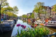 Kanal in Amsterdam mit Hausbooten und blühenden Tulpen im Vordergrund.