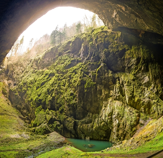 Blick in eine große, moosbedeckte Höhle mit kleinem See am Boden.